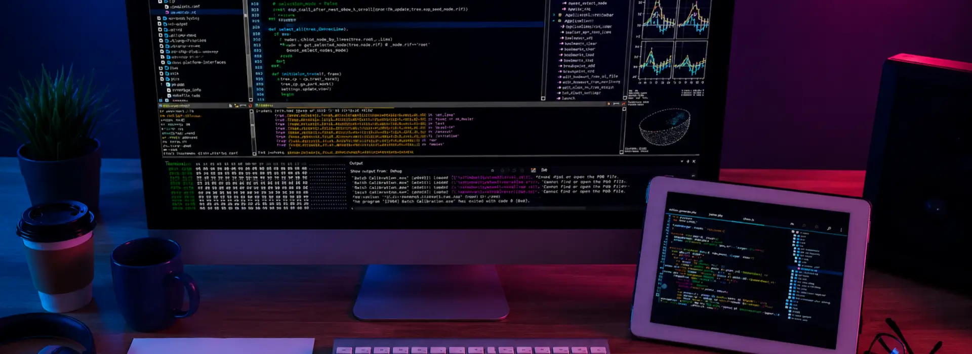 web development